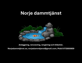 Norje dammtjänst
